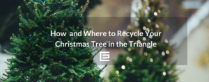 christamas-tree-recycle